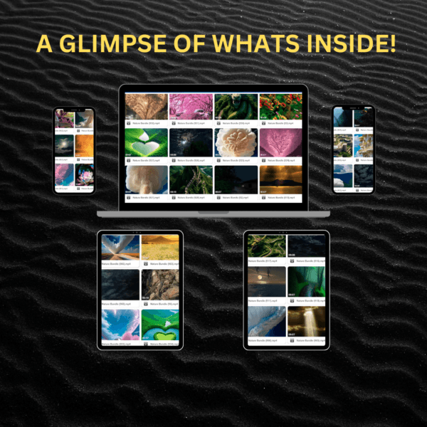 1000+ Nature Reels Bundle