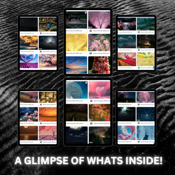 1000+ Nature Reels Bundle